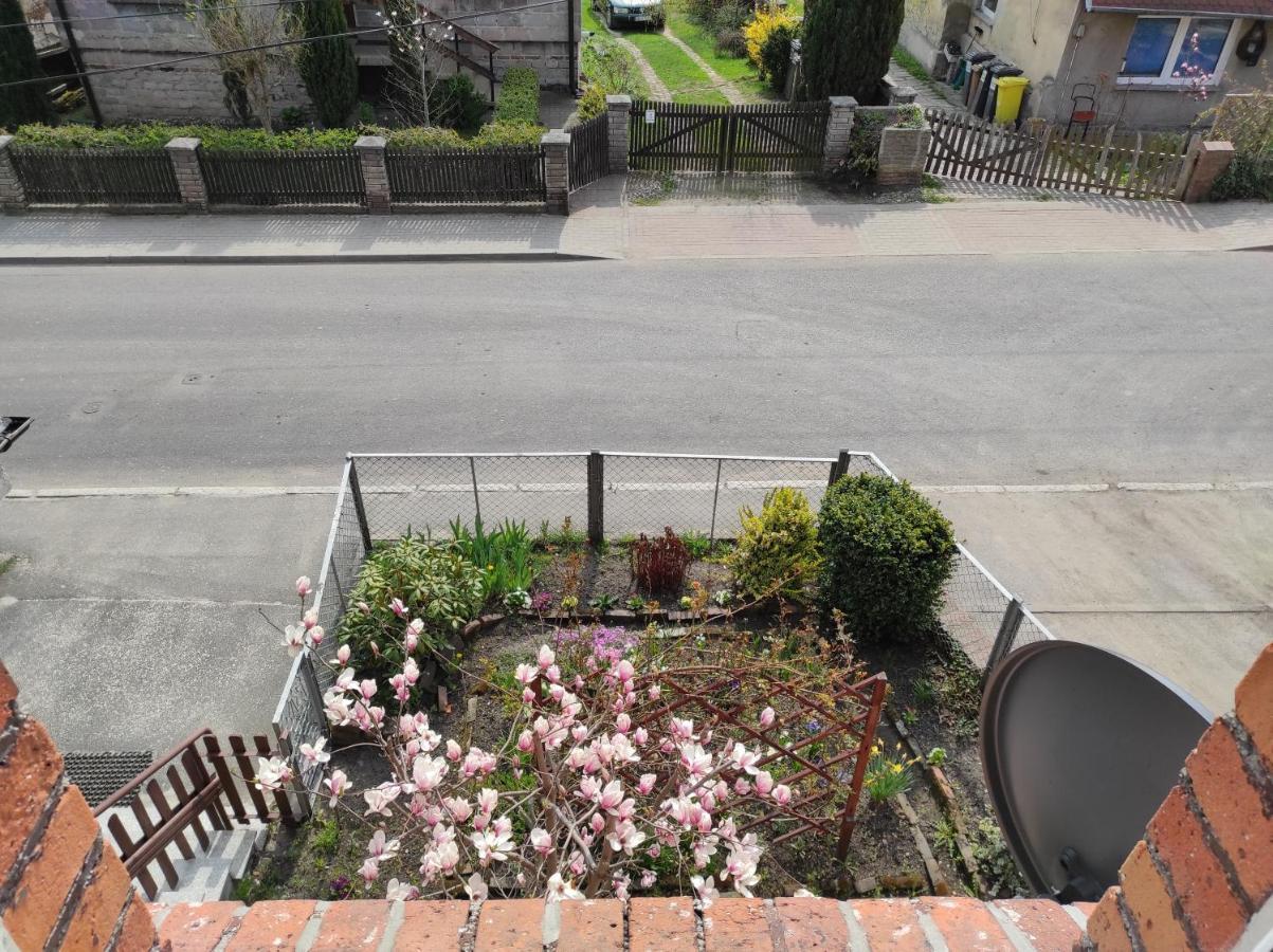 Apartament Pod Jalowcem Gory Sowie 533-543-732 جيدلينا زدروي المظهر الخارجي الصورة
